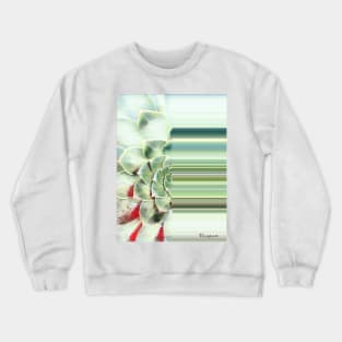 Echeveria Colour Pallet Crewneck Sweatshirt